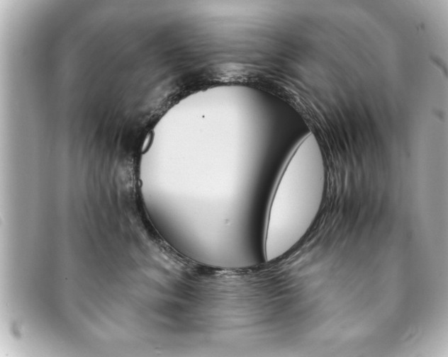 X0000094200620200710260913
