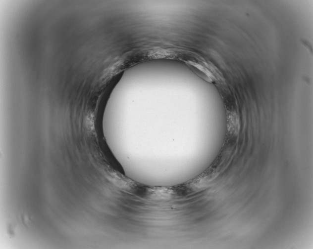 X0000094200621200710260913