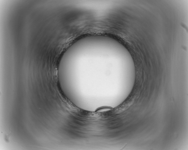X0000094200624200710260913