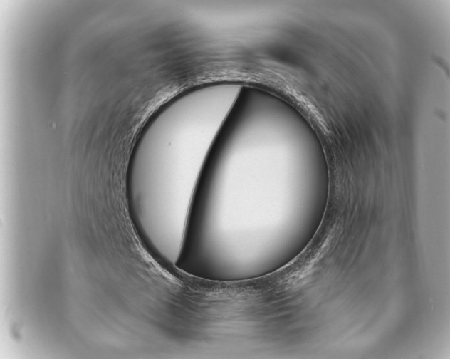 X0000094200625200710260913