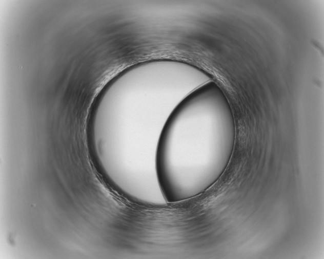 X0000094200626200710260913