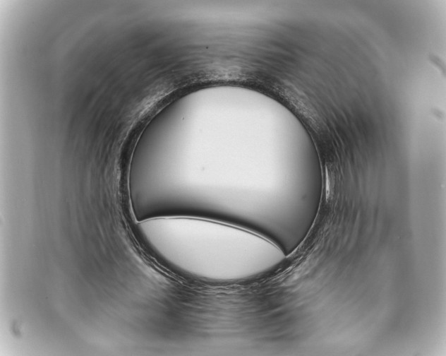 X0000094200627200710260913