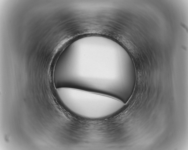 X0000094200628200710260913
