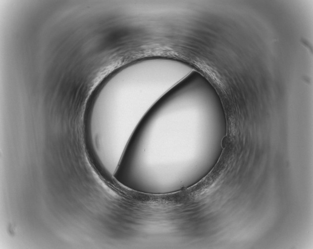 X0000094200630200710260913