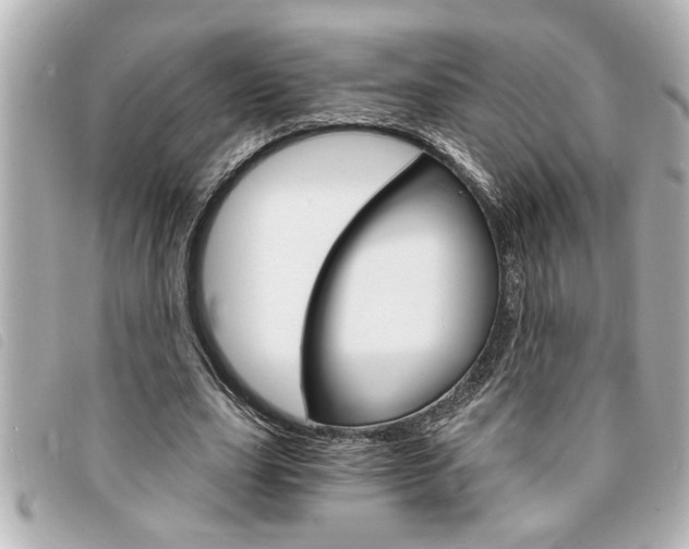 X0000094200631200710260913