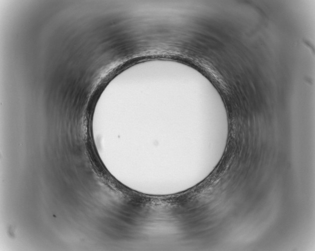X0000094200632200710260913