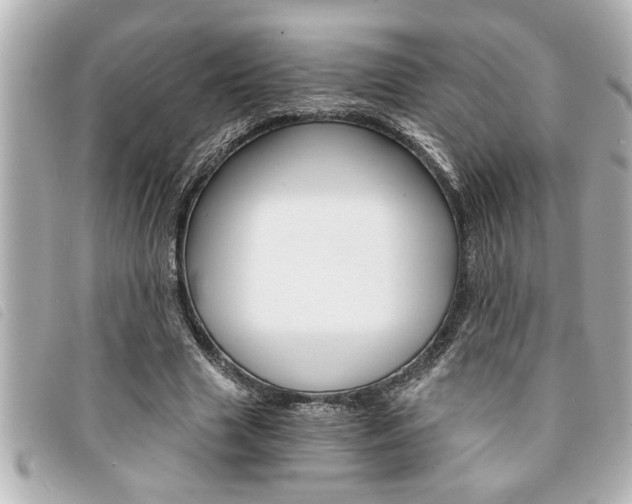 X0000094200633200710260913