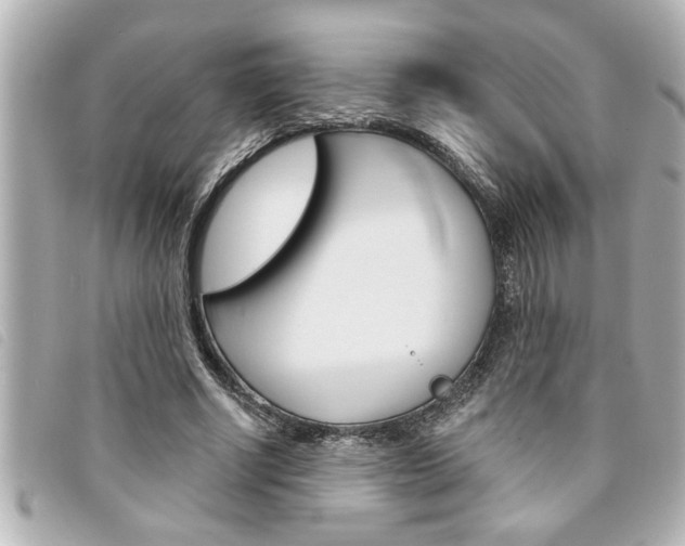X0000094200634200710260913