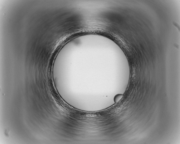 X0000094200636200710260913