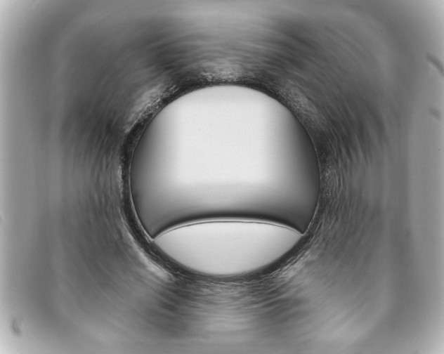X0000094200638200710260913