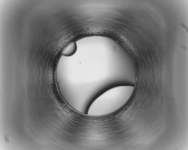 X0000094200640200710260913
