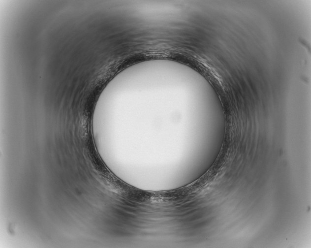 X0000094200641200710260913