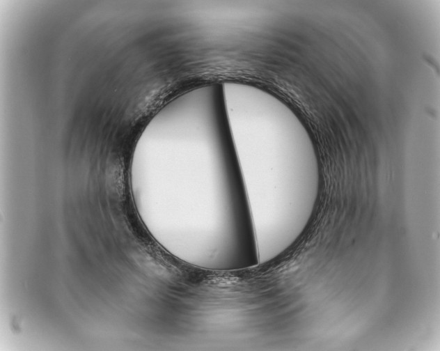 X0000094200642200710260913