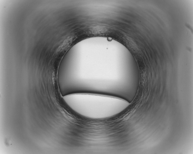 X0000094200644200710260913