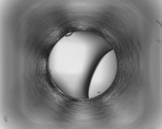 X0000094200646200710260913