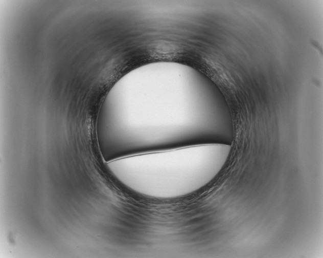 X0000094200647200710260913