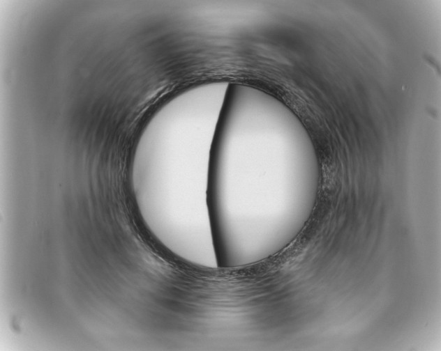X0000094200648200710260913