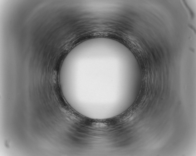 X0000094200649200710260913