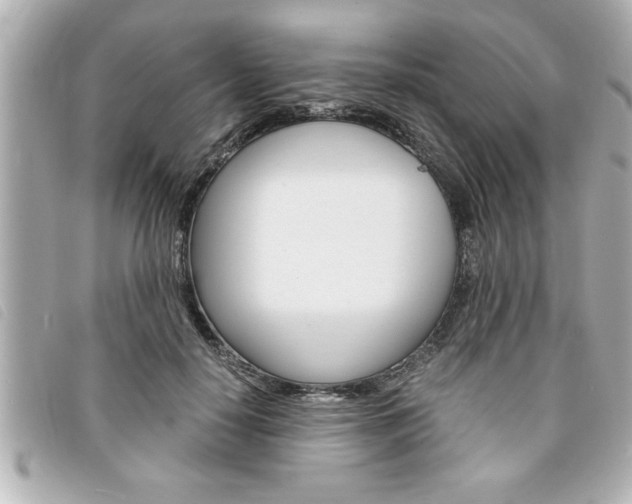 X0000094200650200710260913
