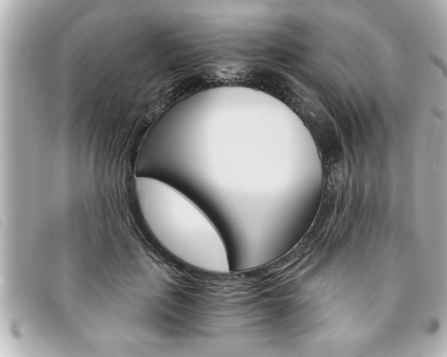 X0000094200651200710260913