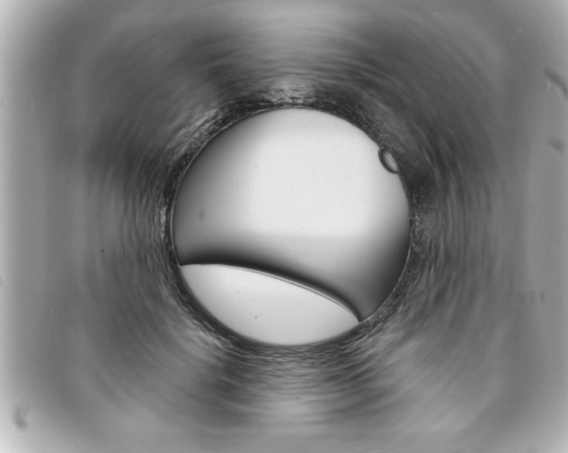 X0000094200652200710260913