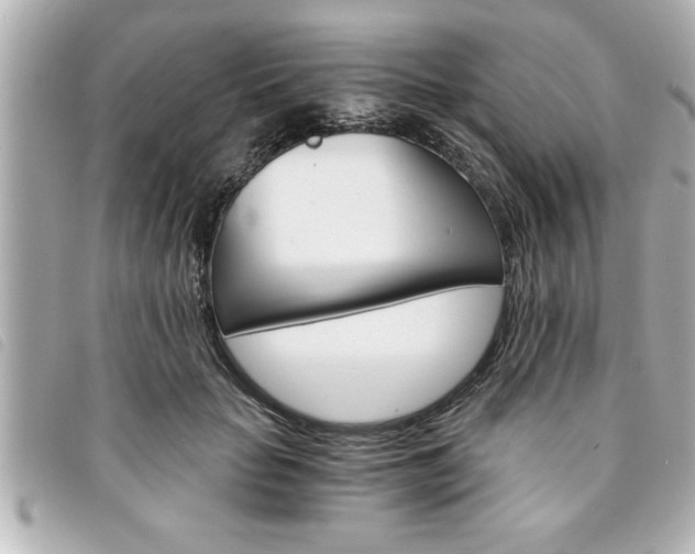 X0000094200653200710260913