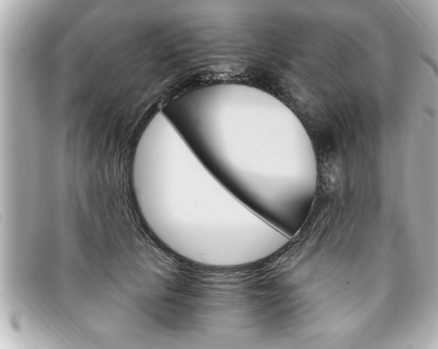 X0000094200657200710260913