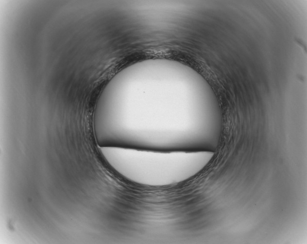 X0000094200658200710260913
