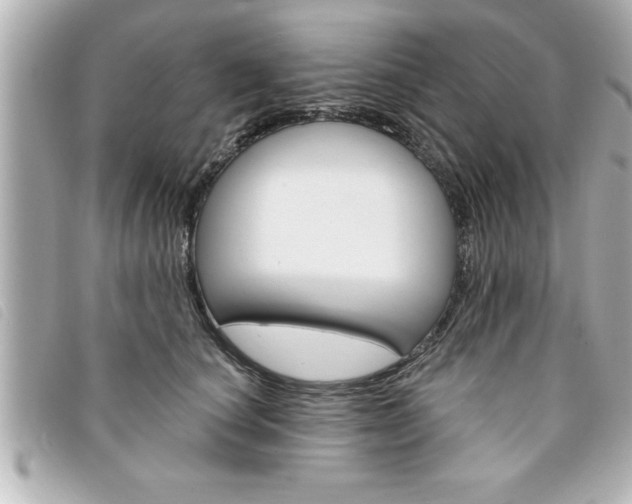 X0000094200660200710260913