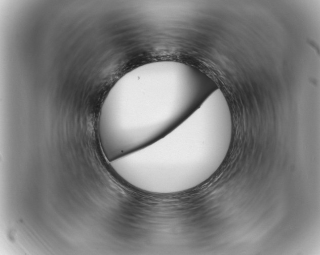 X0000094200662200710260913