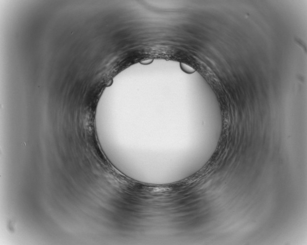 X0000094200663200710260913