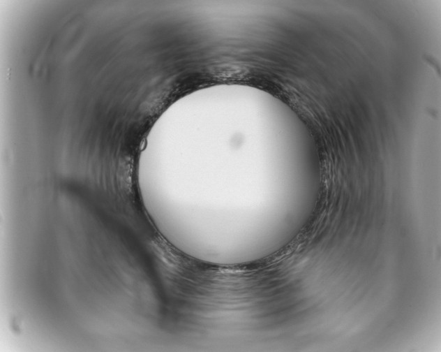 X0000094200664200710260913