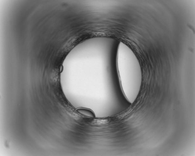 X0000094200665200710260913