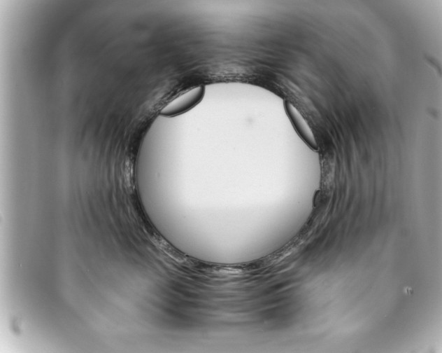 X0000094200669200710260913