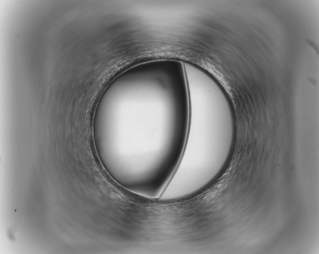 X0000094200673200710260913