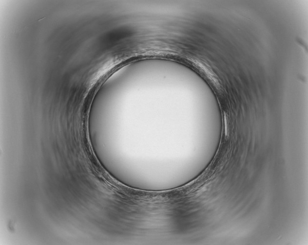 X0000094200675200710260913
