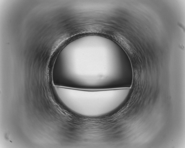 X0000094200676200710260913