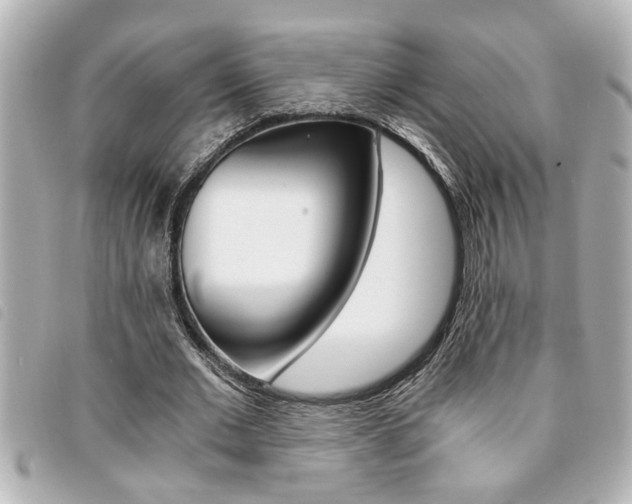 X0000094200677200710260913