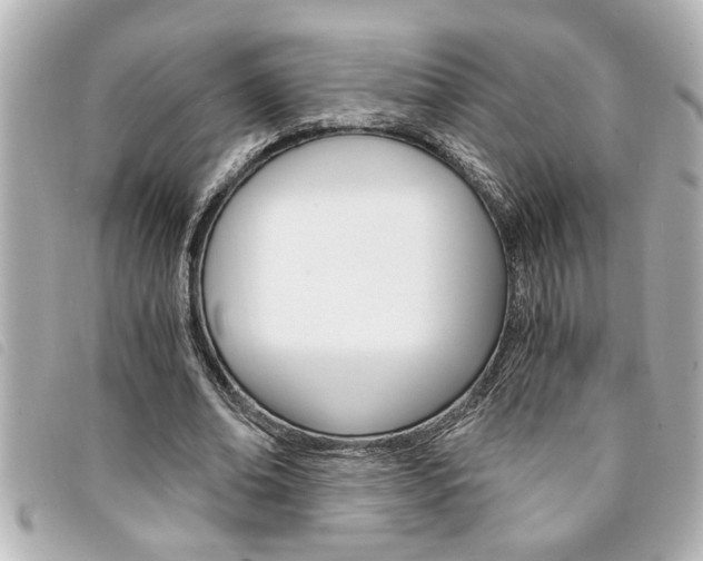 X0000094200678200710260913