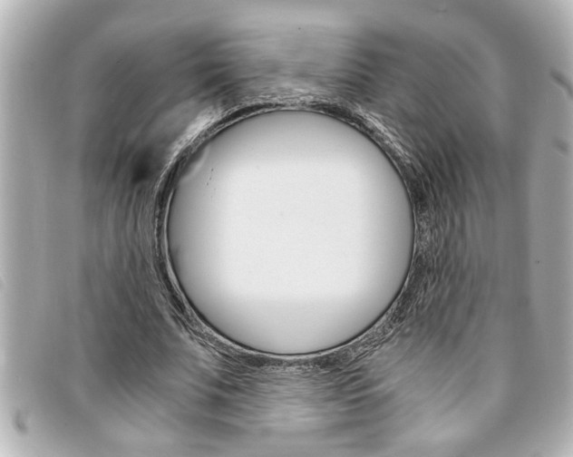X0000094200679200710260913