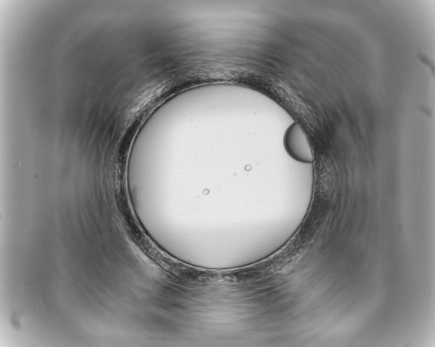 X0000094200683200710260913