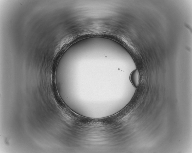 X0000094200685200710260913