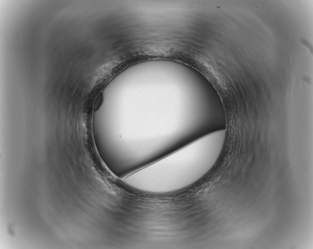X0000094200688200710260913