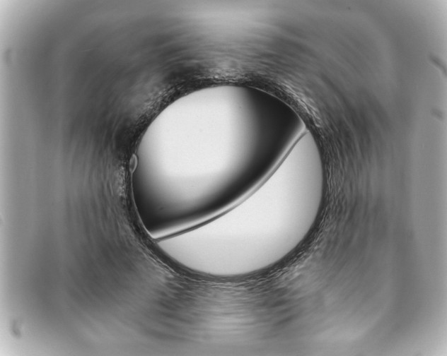 X0000094200689200710260913