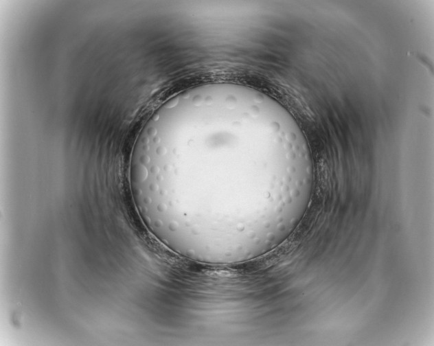 X0000094200698200710260913