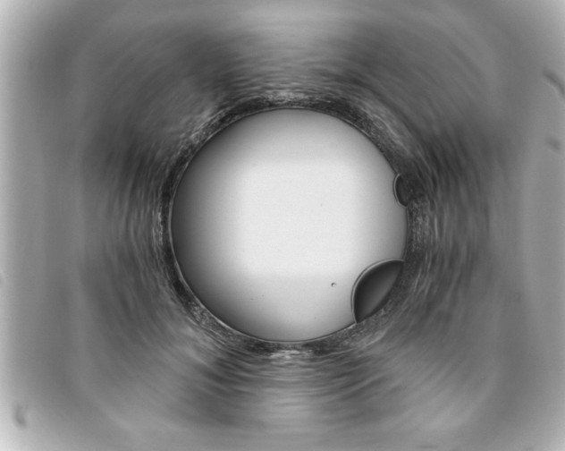 X0000094200700200710260912