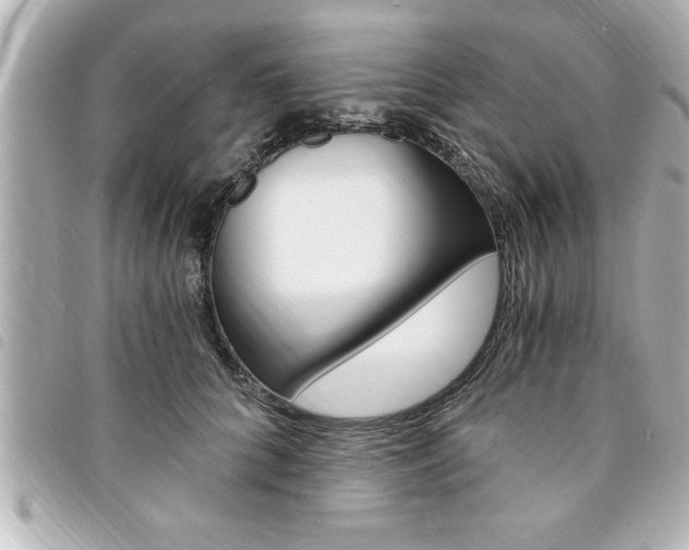 X0000094200704200710260912