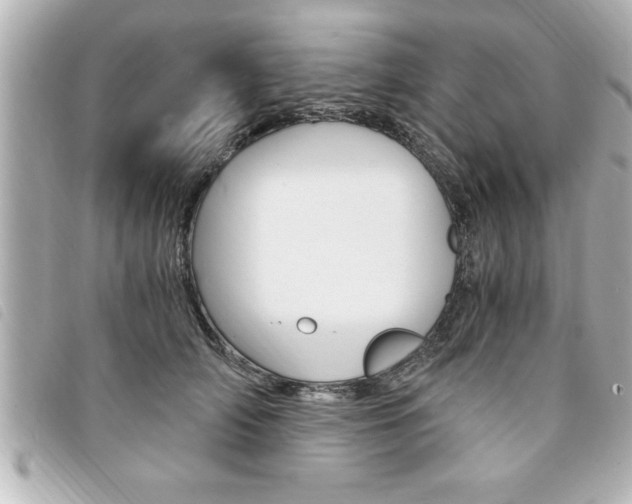 X0000094200706200710260912