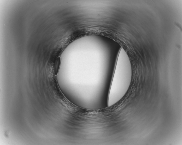 X0000094200708200710260912