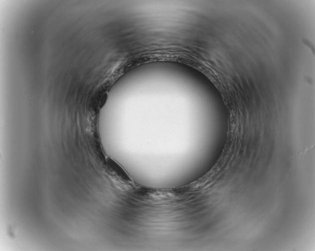 X0000094200712200710260912